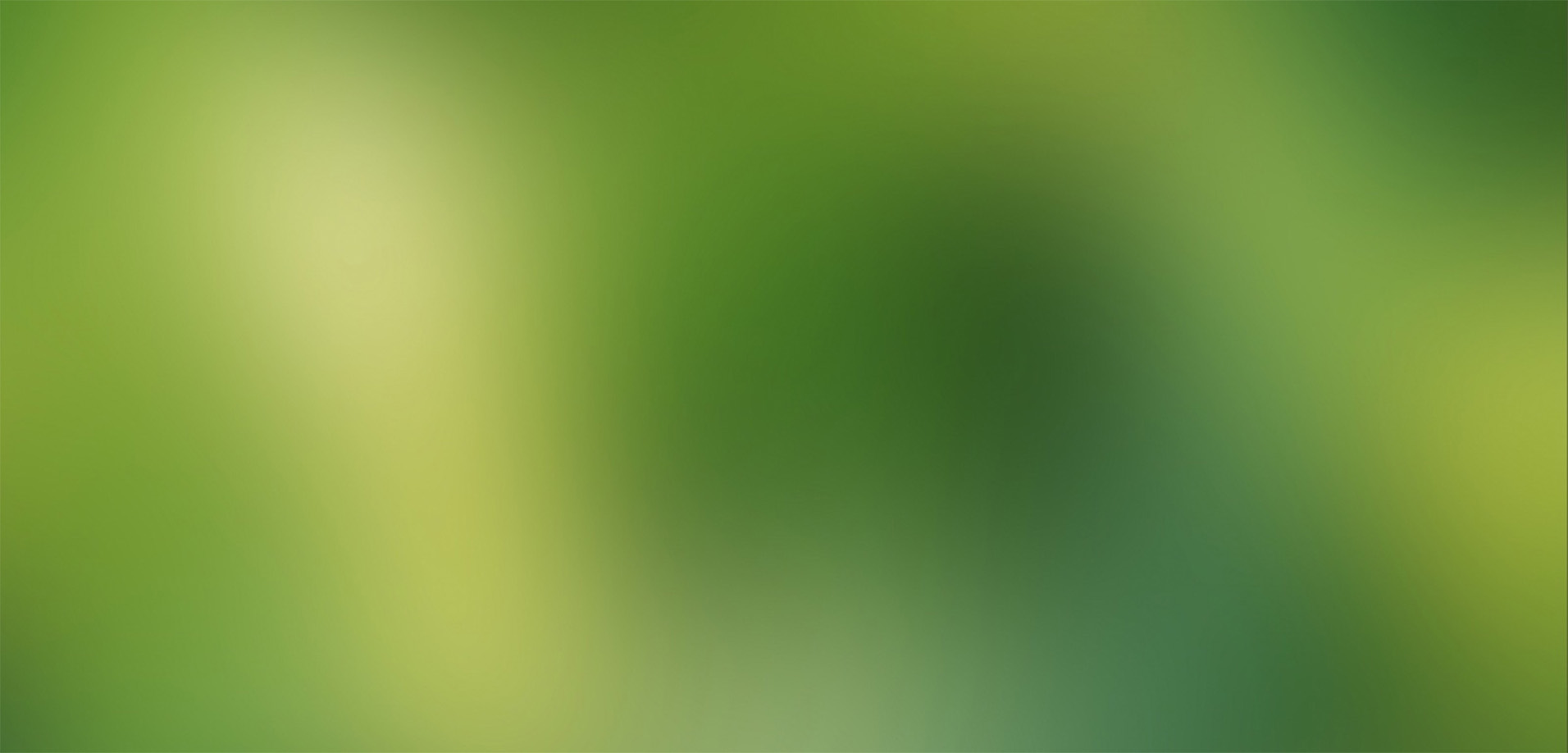 slider_Green